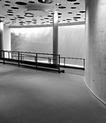 Knöller | Tiergarten Nürnberg