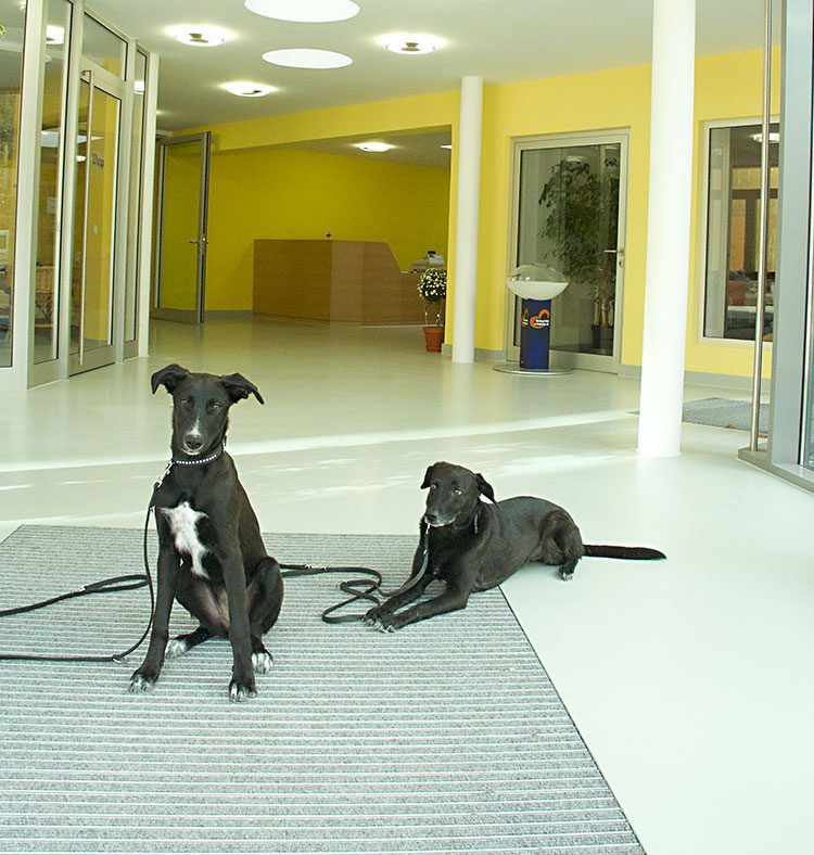 Knöller | Tierheim Nürnberg