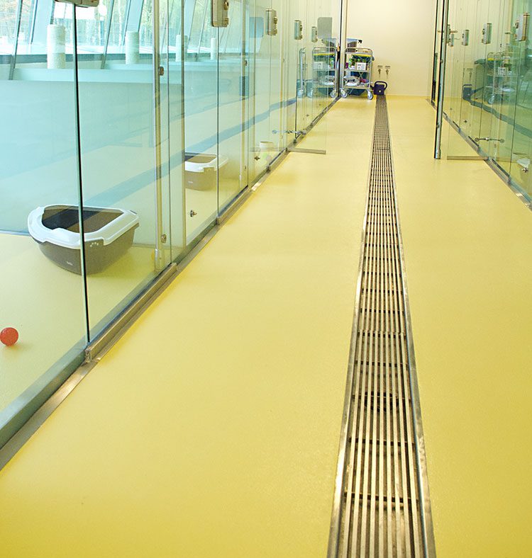 Knöller | Tierheim Nürnberg